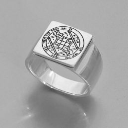 Love Seal Silver Ring